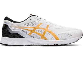 Asics Erkek TARTHEREDGE Koşu Ayakkabısı TR529ZE